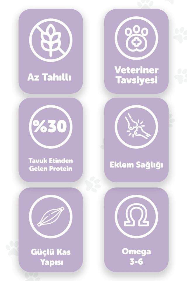 Pawgo Premier Perfection 2 Kg | Tavuk Etli | Hypoallergenic | Kedi Maması