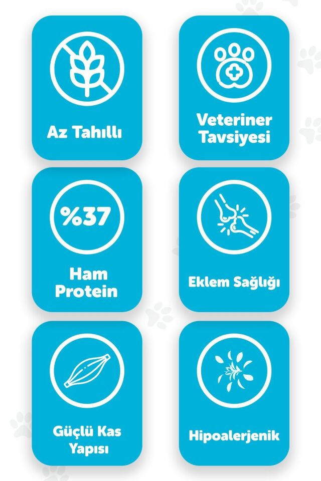 Pawgo Kitten King 2 Kg | Hypoallergenic | Tavuk Etli | Yavru Kedi Maması