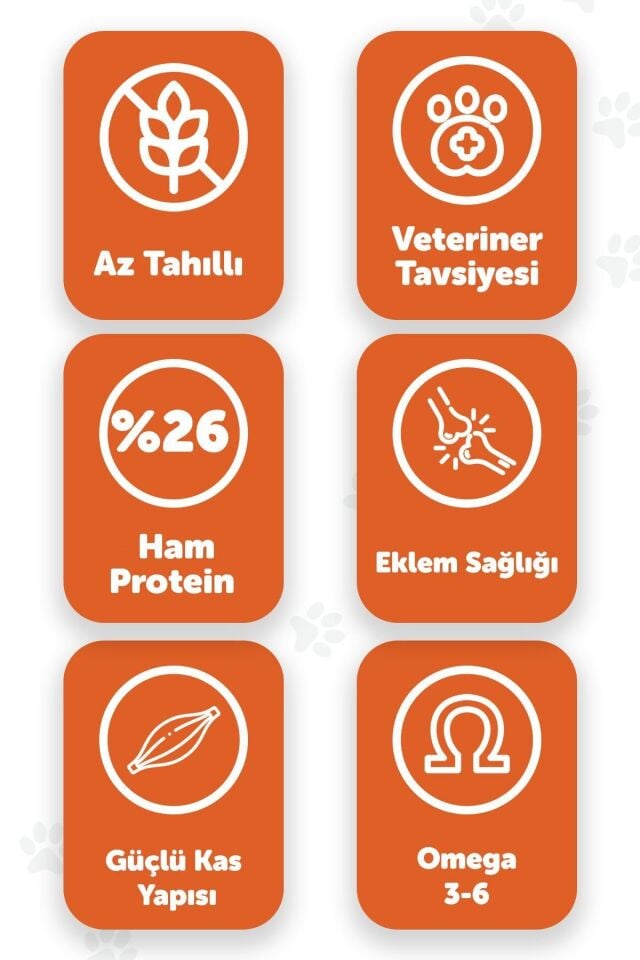 Pawgo Mini Majesty 2 Kg | Küçük Irk | Kuzu Etli | Yetişkin Köpek Maması