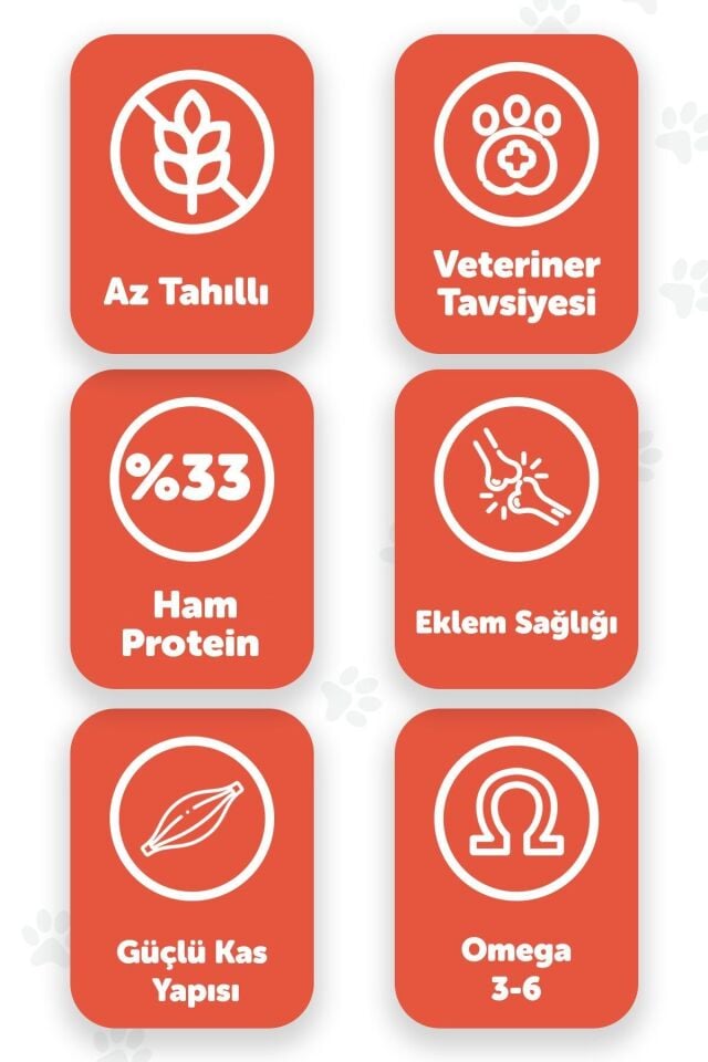 Pawgo Salmon Supreme 2 Kg | Kısırlaştırılmış | Hypoallergenic | Somonlu | Kedi Maması