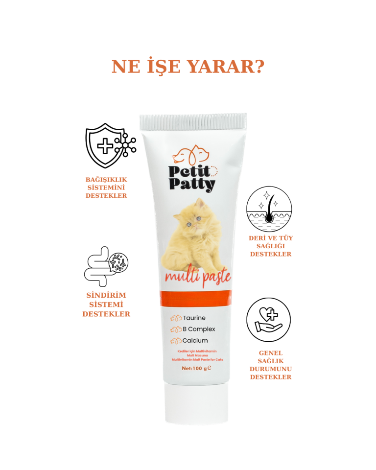 Petit Patty Multi Paste 100 g Kediler İçin Multivitamin Malt Macunu