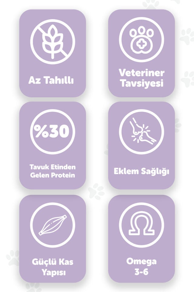 Premier Perfection 2 Kg | Tavuk Etli | Hypoallergenic | Kedi Maması